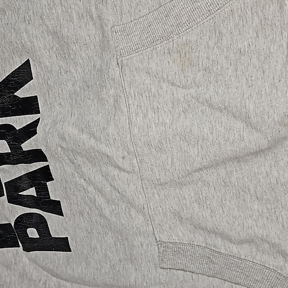 IVY PARK Beyoncé Logo Hoodie Sweatshirt Oversized - Picture 3 of 6